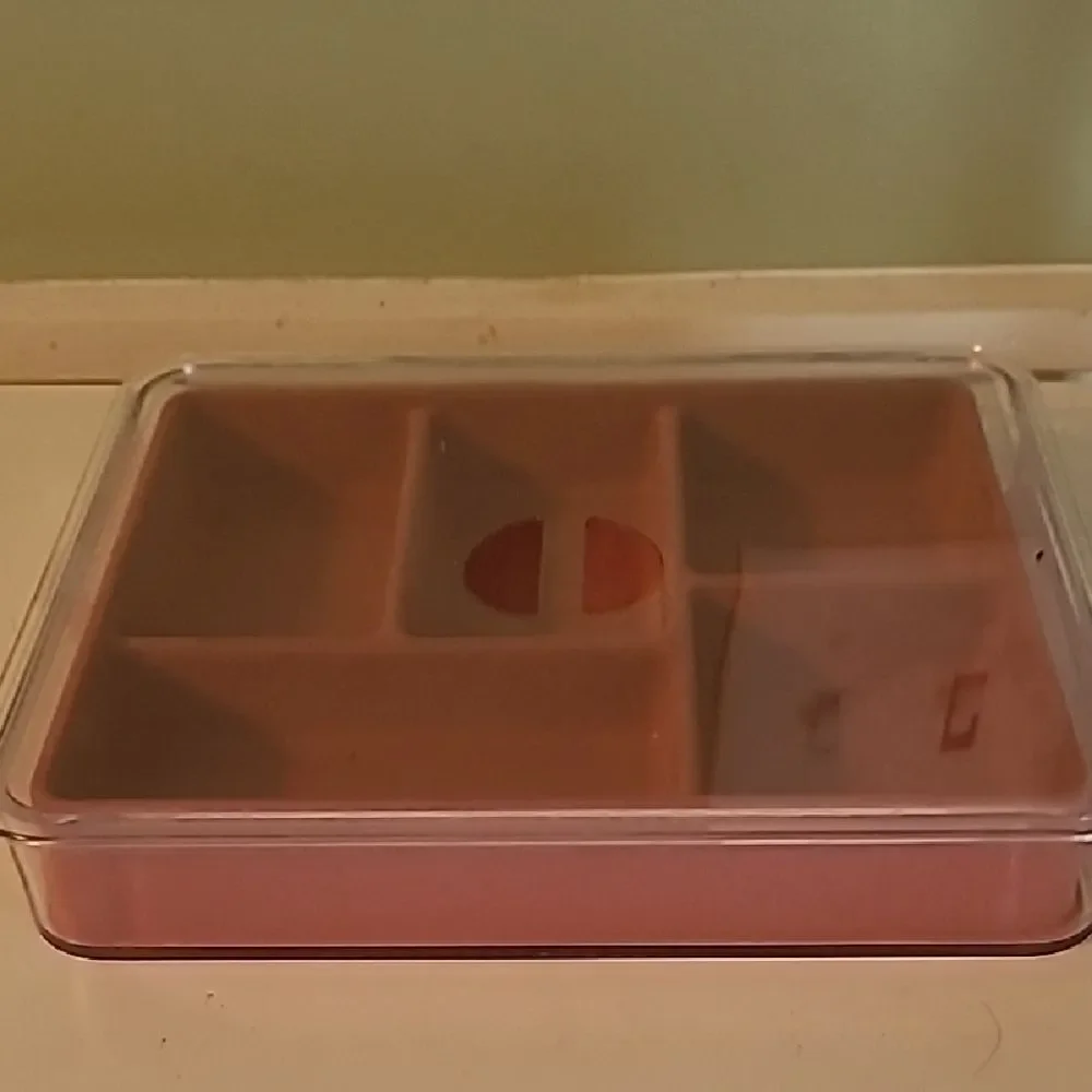 Clear and Pink Divided Storage Box